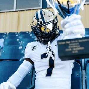 Double Arm Sleeves White (1 Pair)